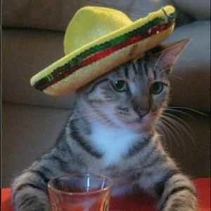 Meet your Posher, Obi